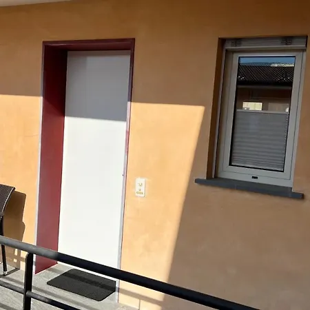 Asconadolcevita * 아스꼬나